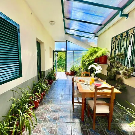 Garden *